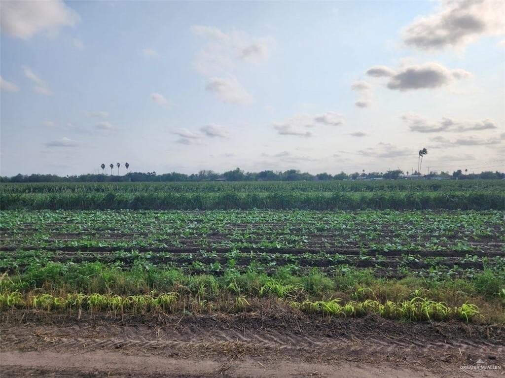 16.75 acres in Hidalgo County