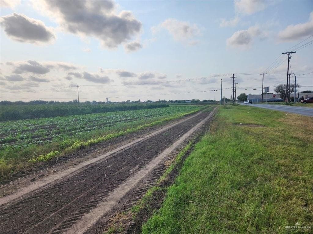 16.75 acres in Hidalgo County gallery image 3