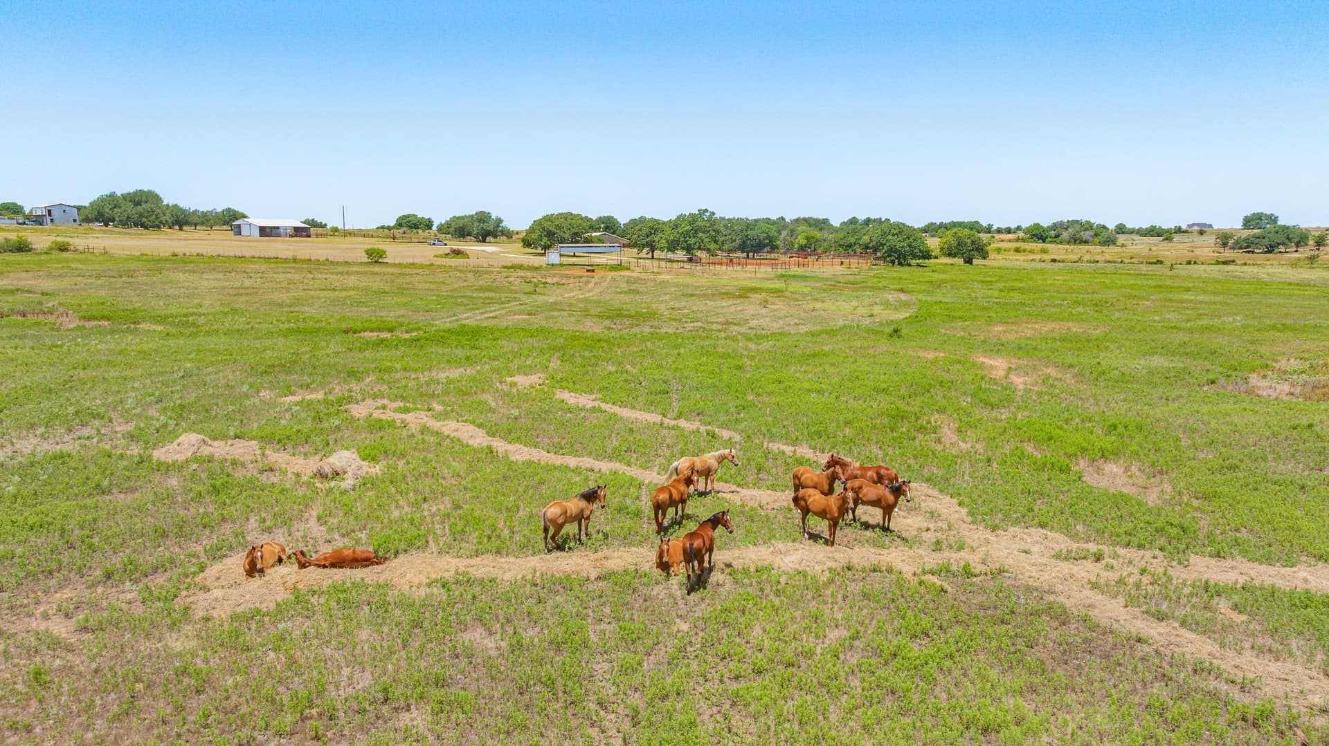 22.25 acres in Erath County - photo 18