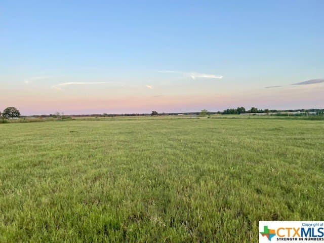 78.96 acres in Milam County - photo 8