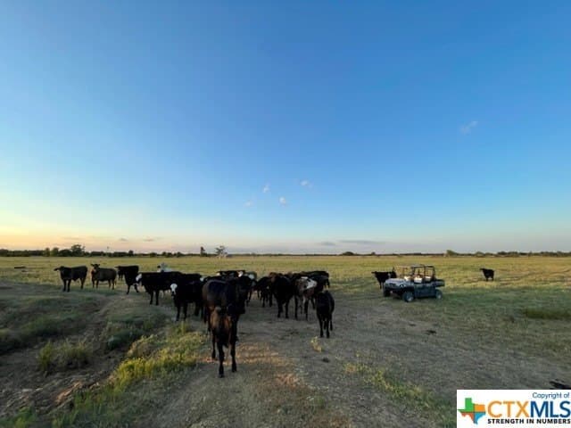 78.96 acres in Milam County - photo 10
