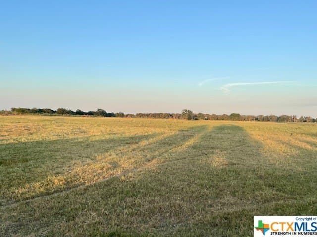 78.96 acres in Milam County - photo 7