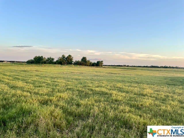 78.96 acres in Milam County - photo 12