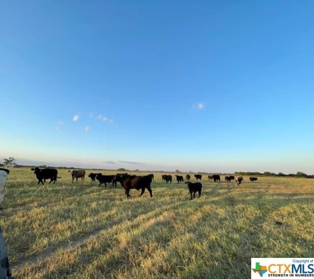 78.96 acres in Milam County - photo 6