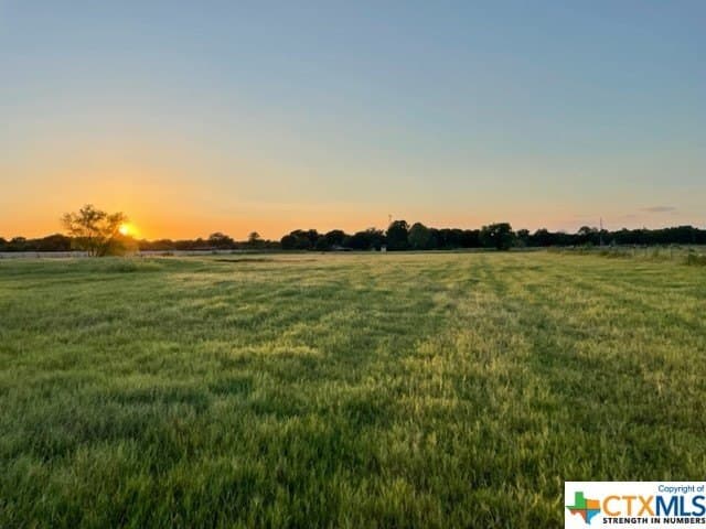 78.96 acres in Milam County - photo 13