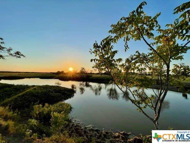 78.96 acres in Milam County gallery image 2