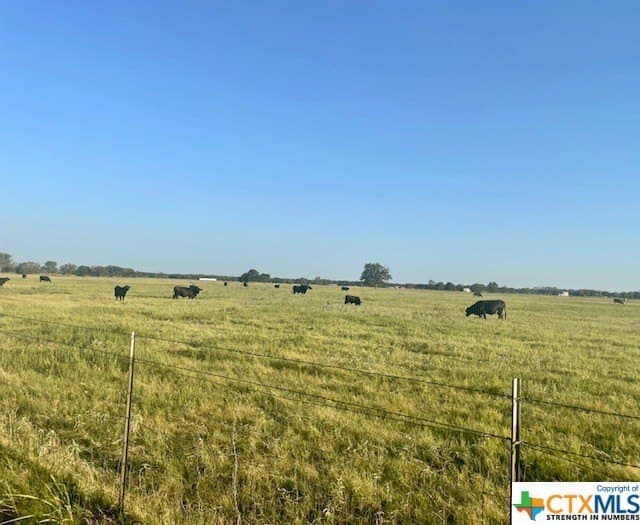 78.96 acres in Milam County gallery image 4