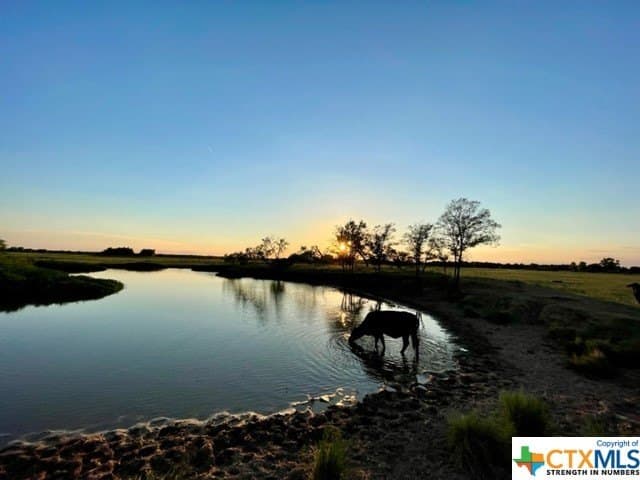 78.96 acres in Milam County - photo 11