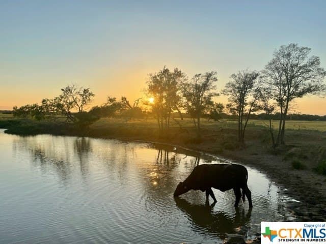 78.96 acres in Milam County gallery image 3