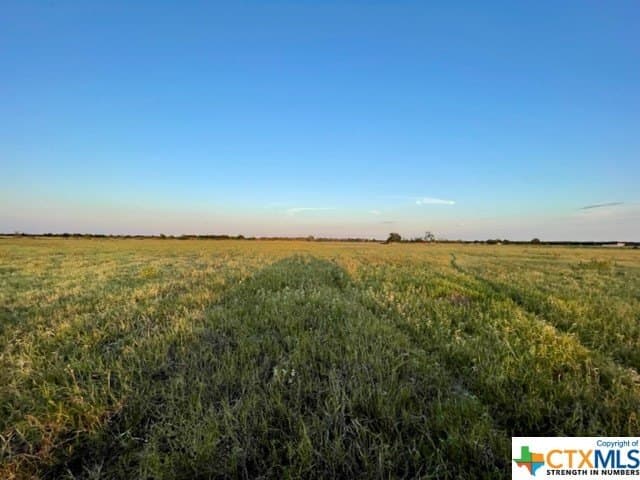 78.96 acres in Milam County - photo 9