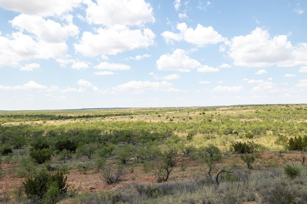 4,645.8 acres in Borden County - photo 60