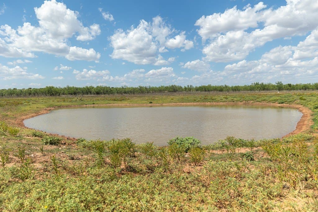4,645.8 acres in Borden County - photo 66