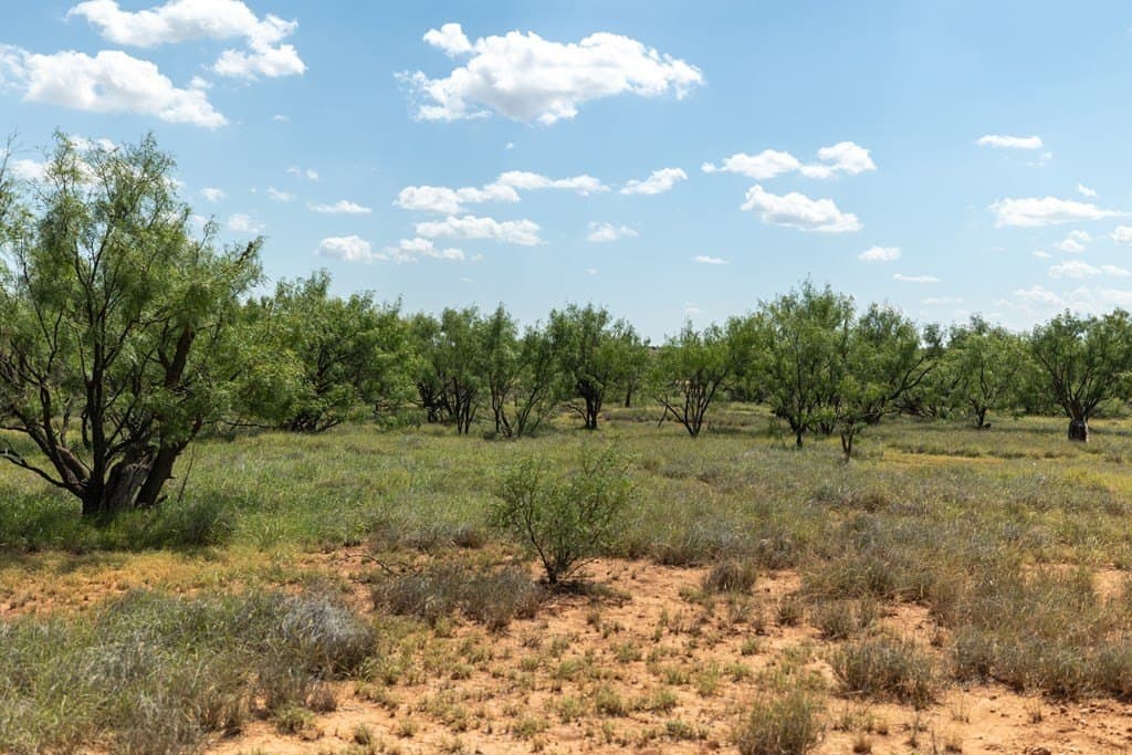 4,645.8 acres in Borden County - photo 64