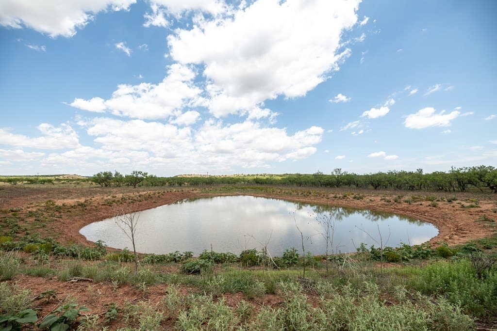 4,645.8 acres in Borden County - photo 44