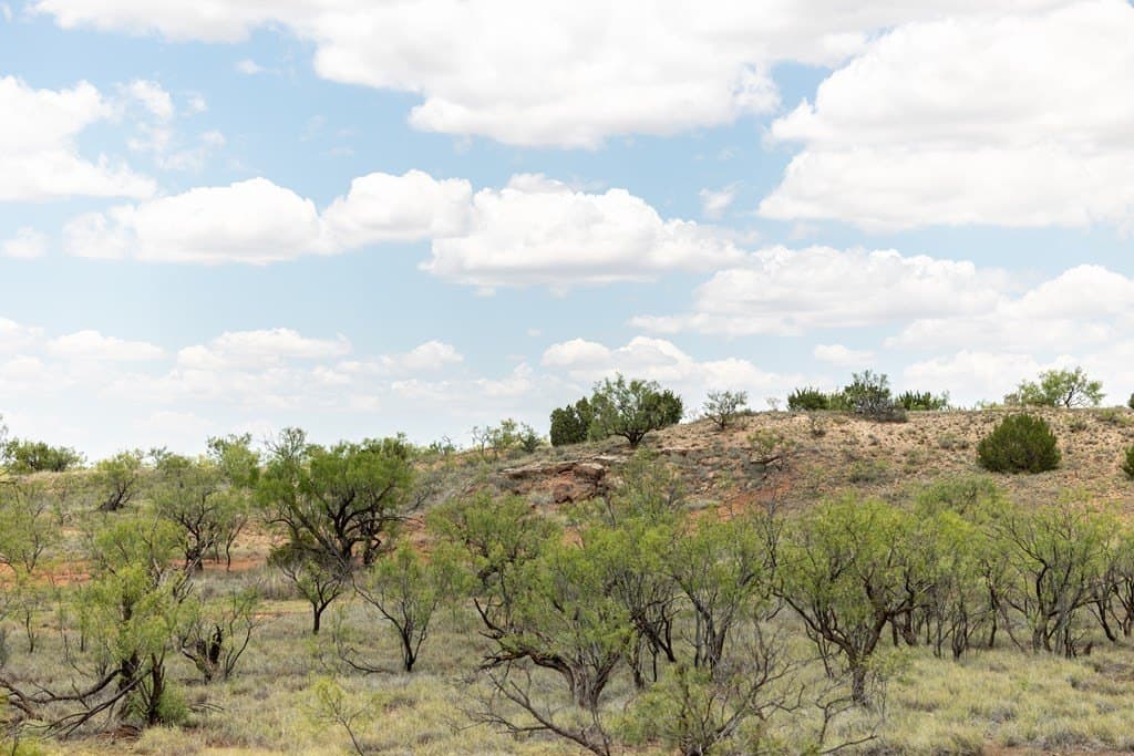 4,645.8 acres in Borden County - photo 49