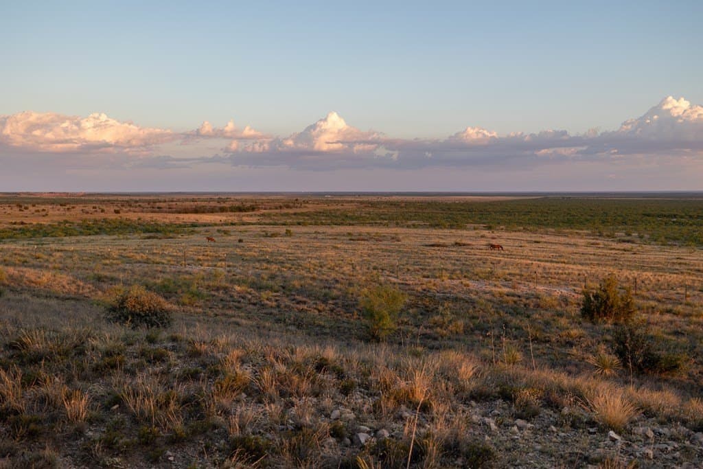4,645.8 acres in Borden County - photo 83