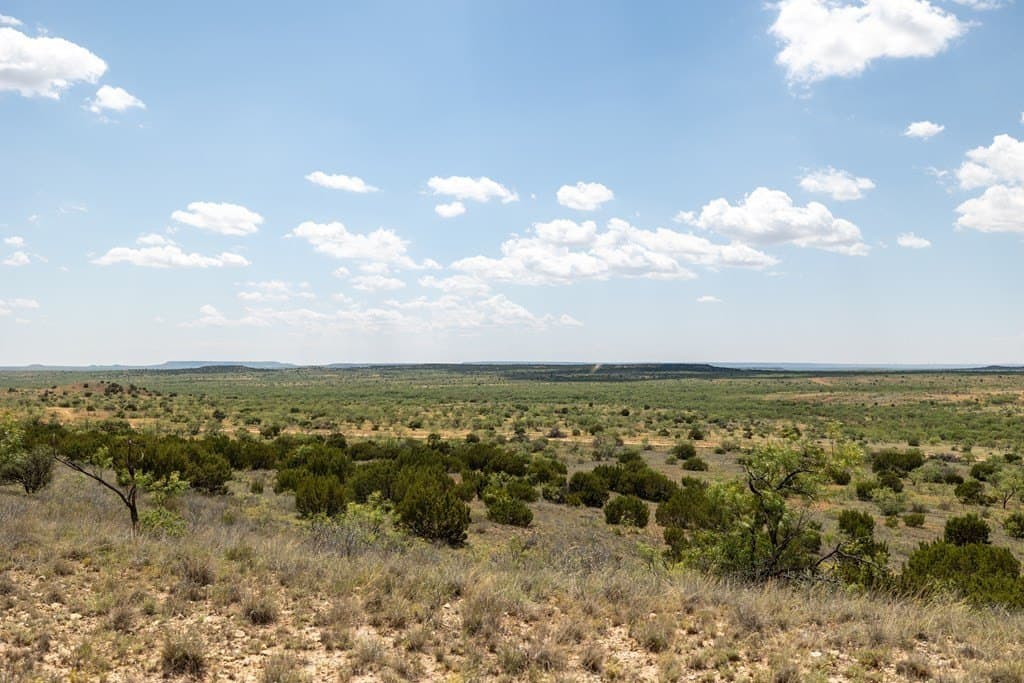 4,645.8 acres in Borden County - photo 58