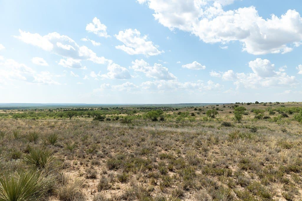 4,645.8 acres in Borden County - photo 73
