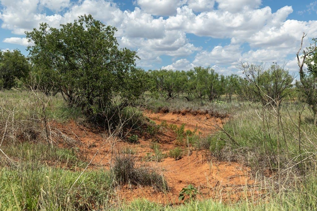 4,645.8 acres in Borden County - photo 65