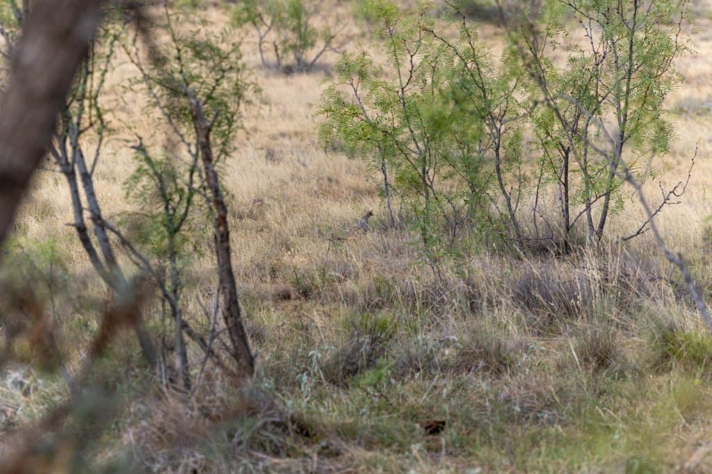 4,645.8 acres in Borden County - photo 79