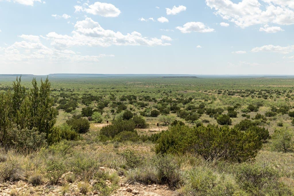 4,645.8 acres in Borden County - photo 68