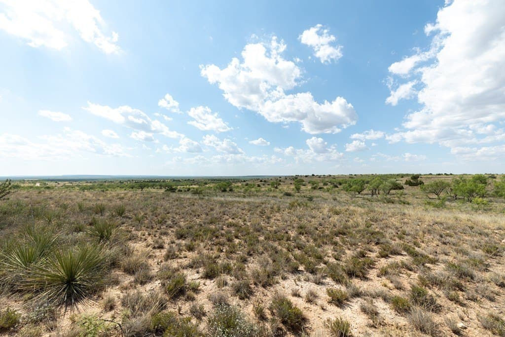 4,645.8 acres in Borden County - photo 74