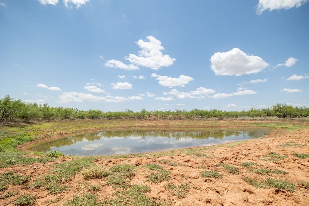 4,645.8 acres in Borden County - photo 48