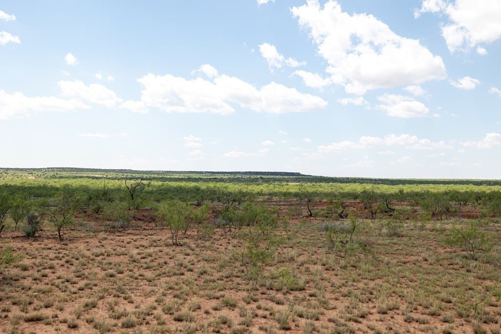 4,645.8 acres in Borden County - photo 61