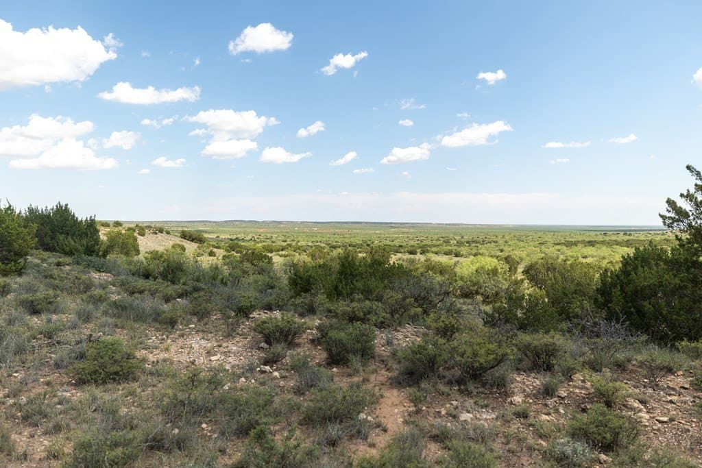 4,645.8 acres in Borden County - photo 67