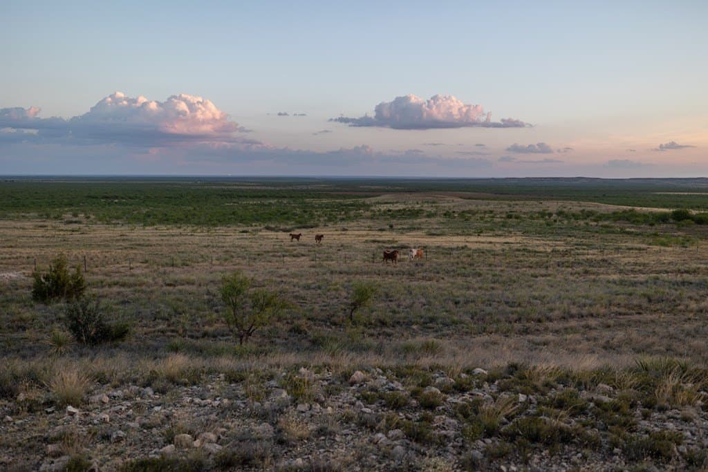4,645.8 acres in Borden County - photo 86