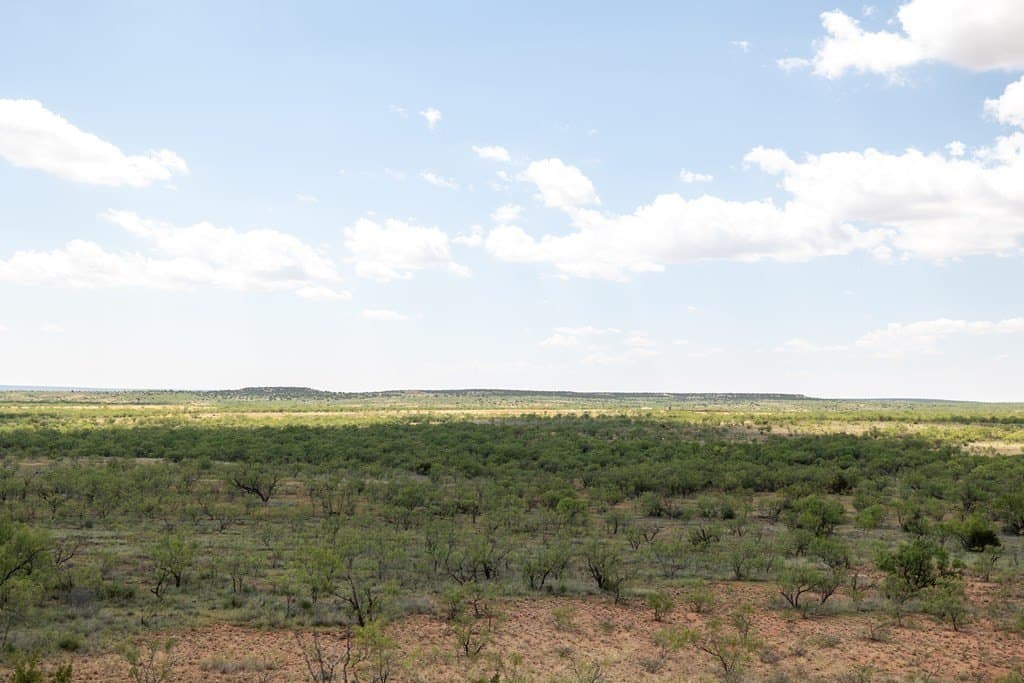 4,645.8 acres in Borden County - photo 59