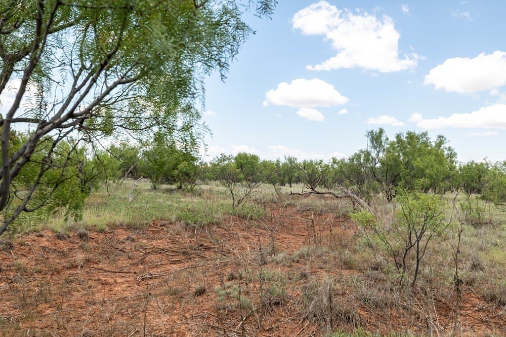 4,645.8 acres in Borden County - photo 45