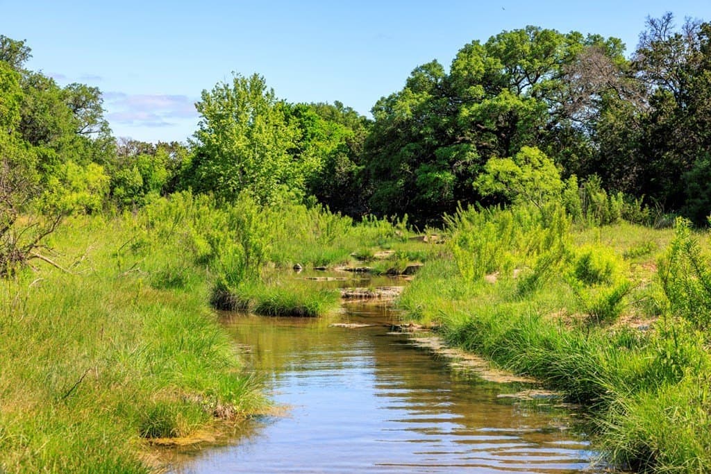 90 acres in Gillespie County gallery image 3