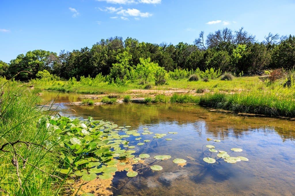 90 acres in Gillespie County featured view