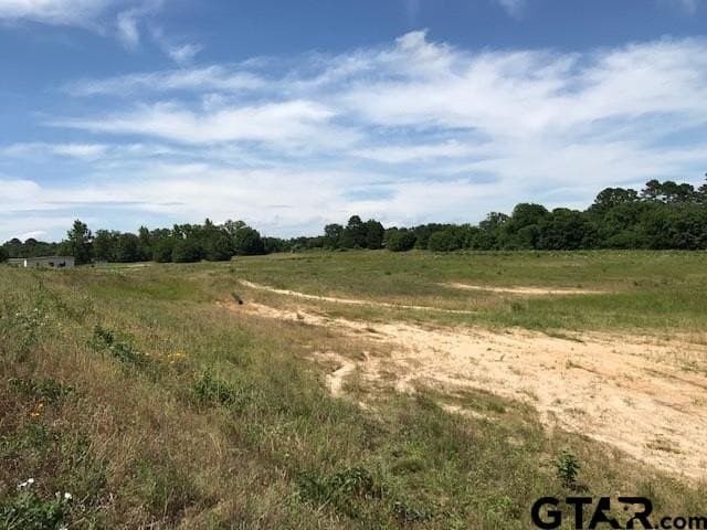 10.53 acres in Smith County gallery image 2