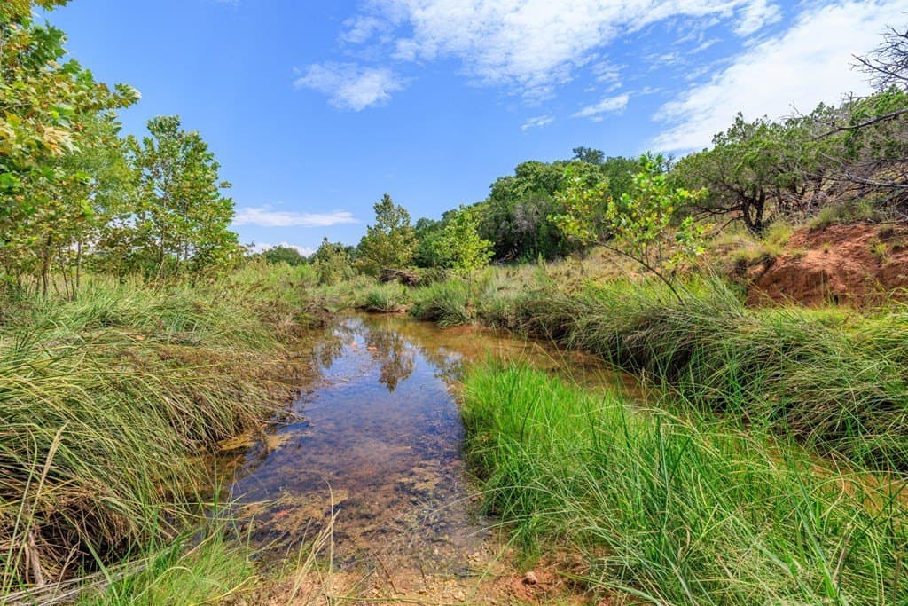 15 acres in Gillespie County - photo 38