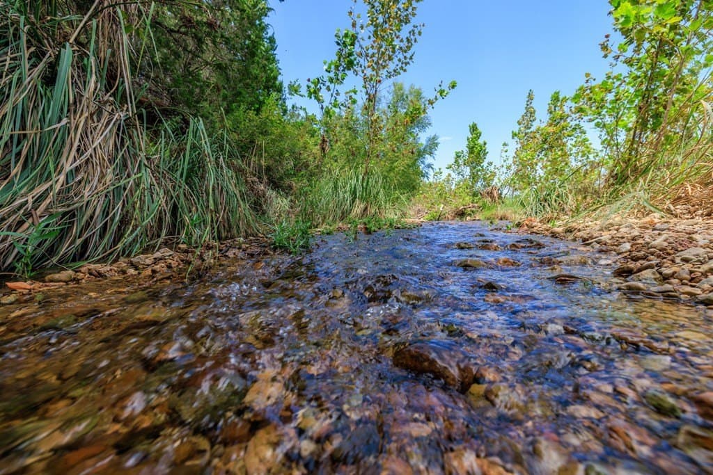 15 acres in Gillespie County - photo 39