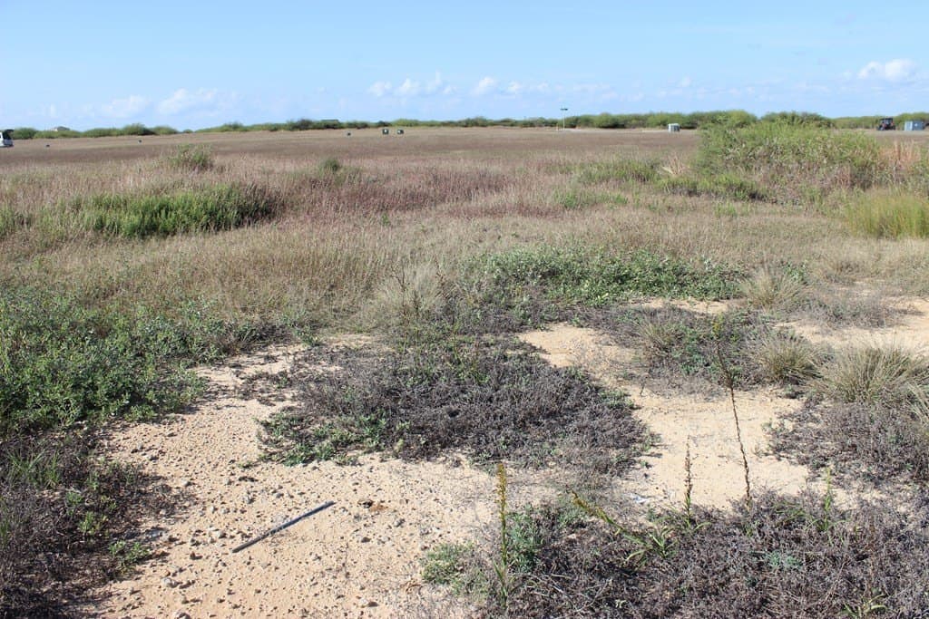 0.21 acres in Palacios Area County - photo 7