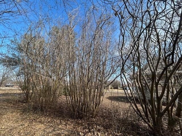 0.81 acres in Grayson County - photo 10
