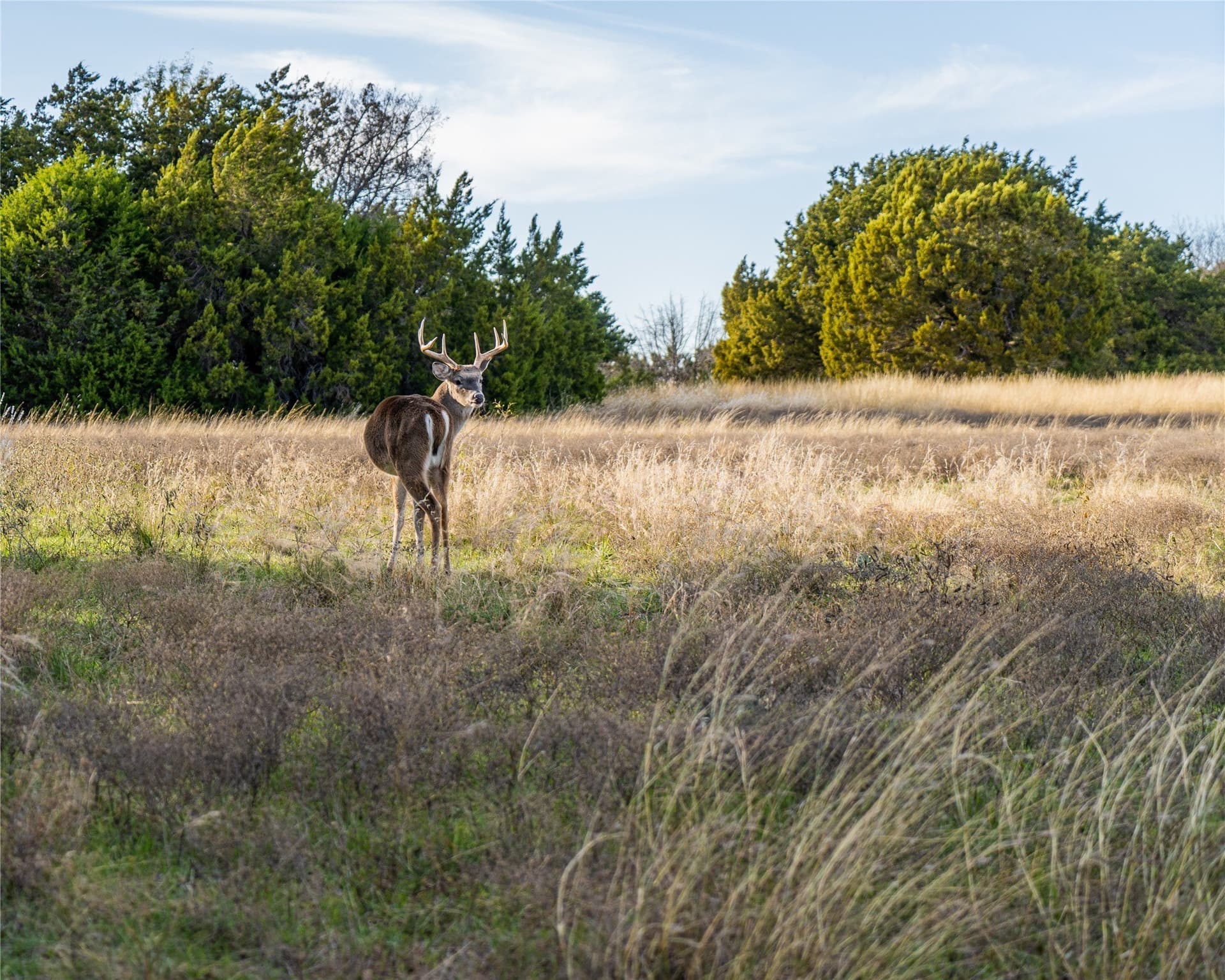 1.2 acres in Hill County - photo 13