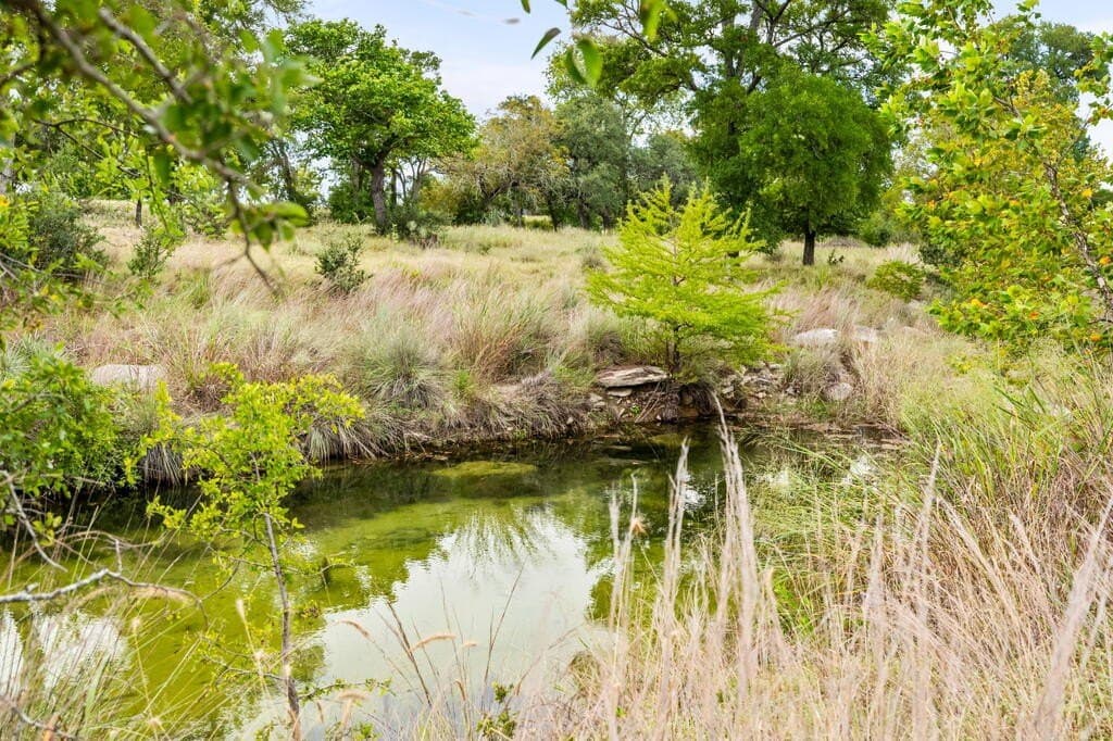 10.42 acres in Gillespie County - photo 36