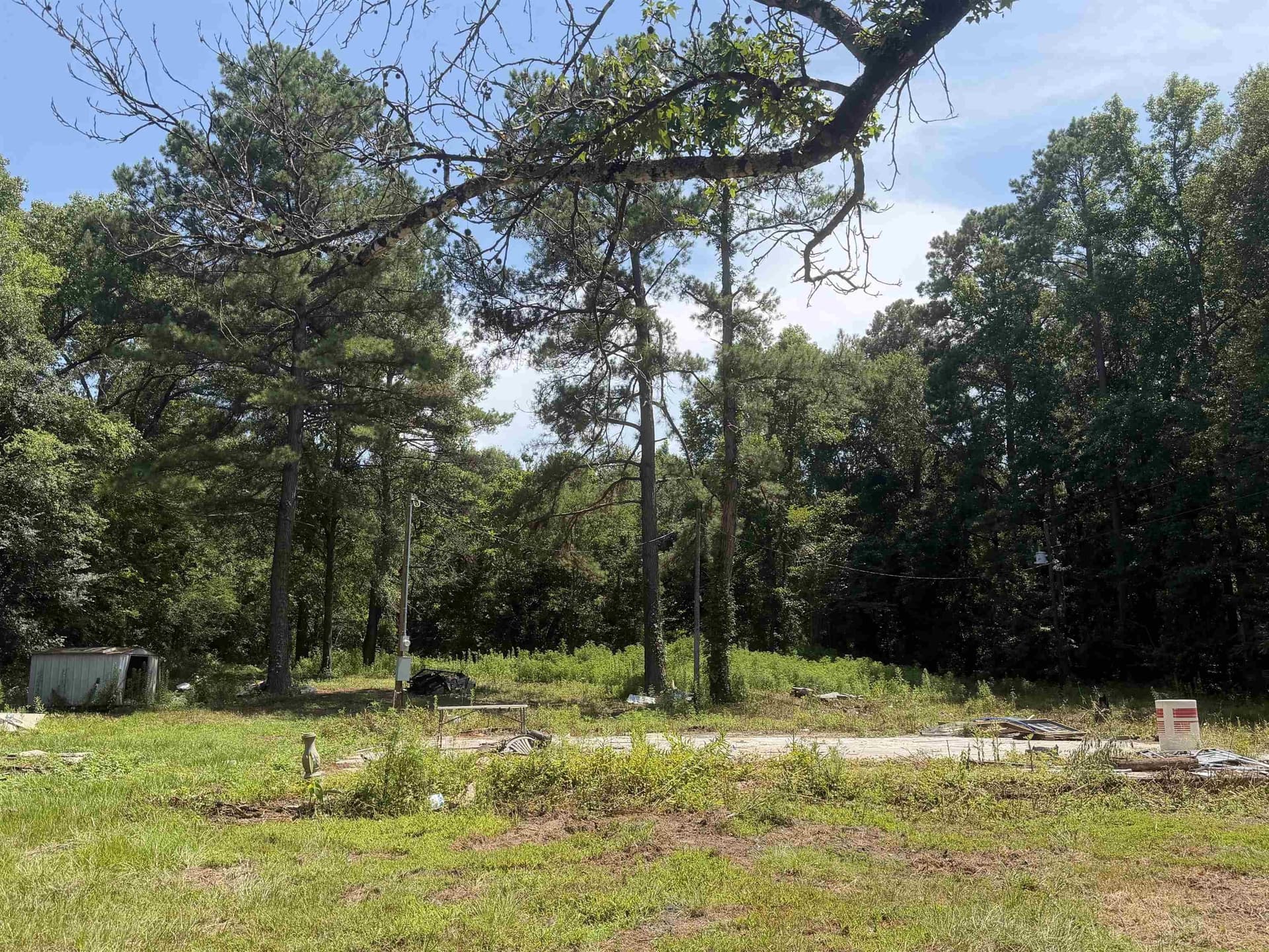 4 acres in Texas County gallery image 3