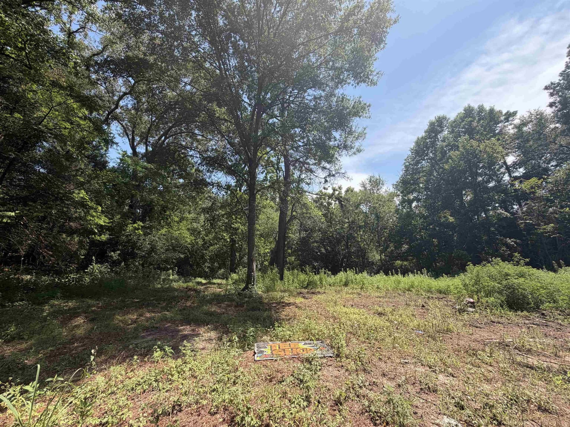 4 acres in Texas County gallery image 4