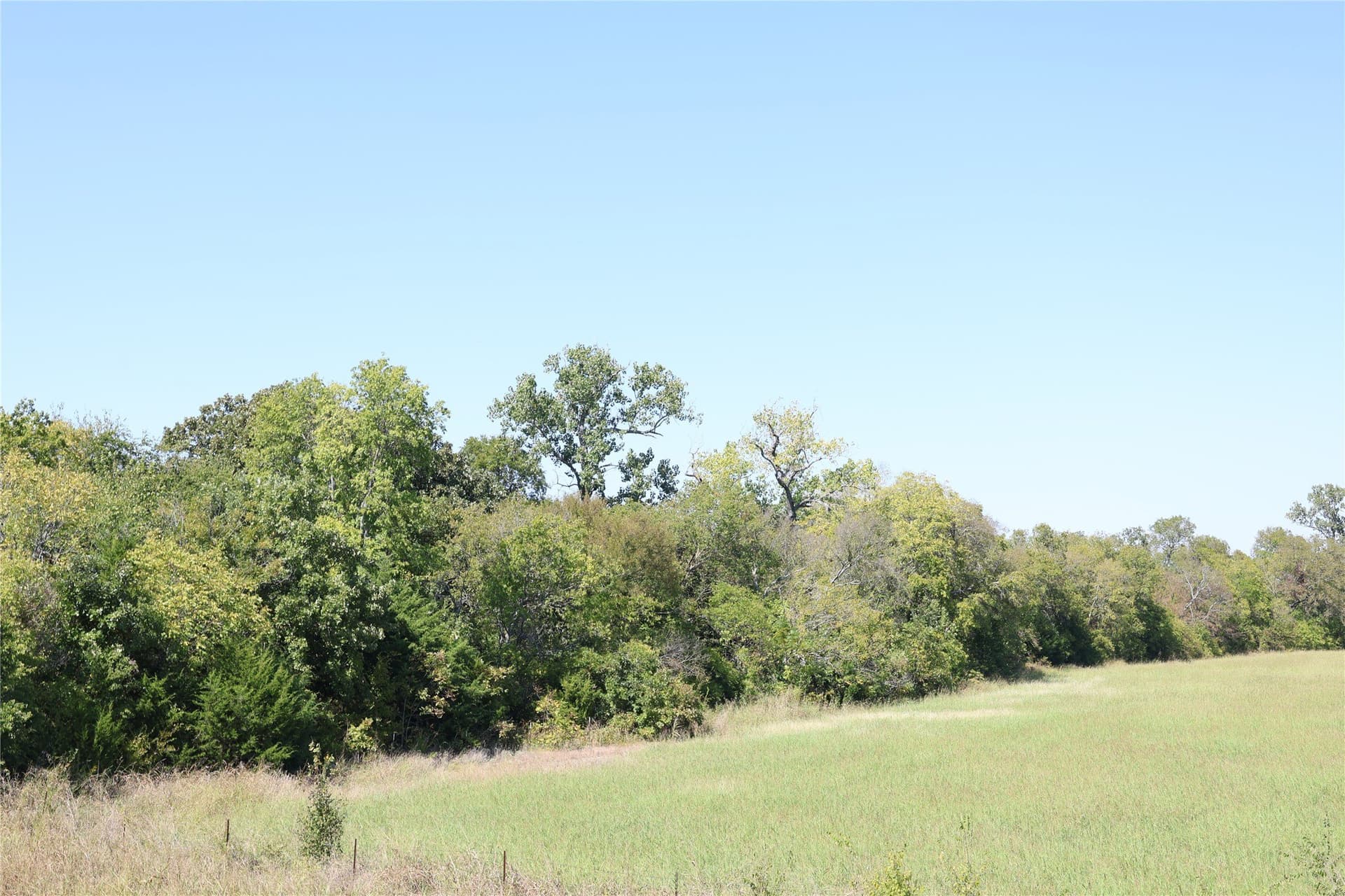 5 acres in Fannin County - photo 3