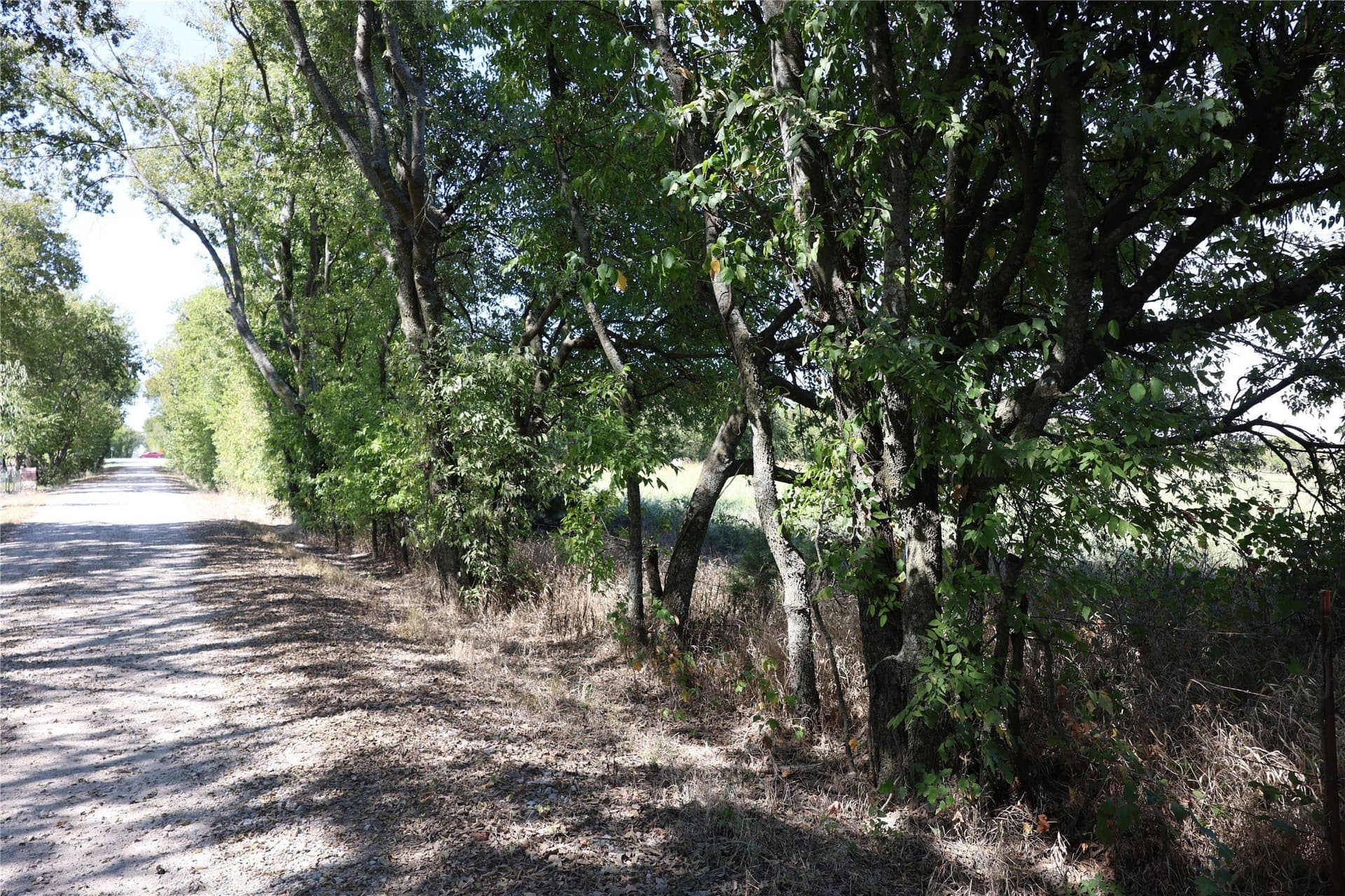 5 acres in Fannin County