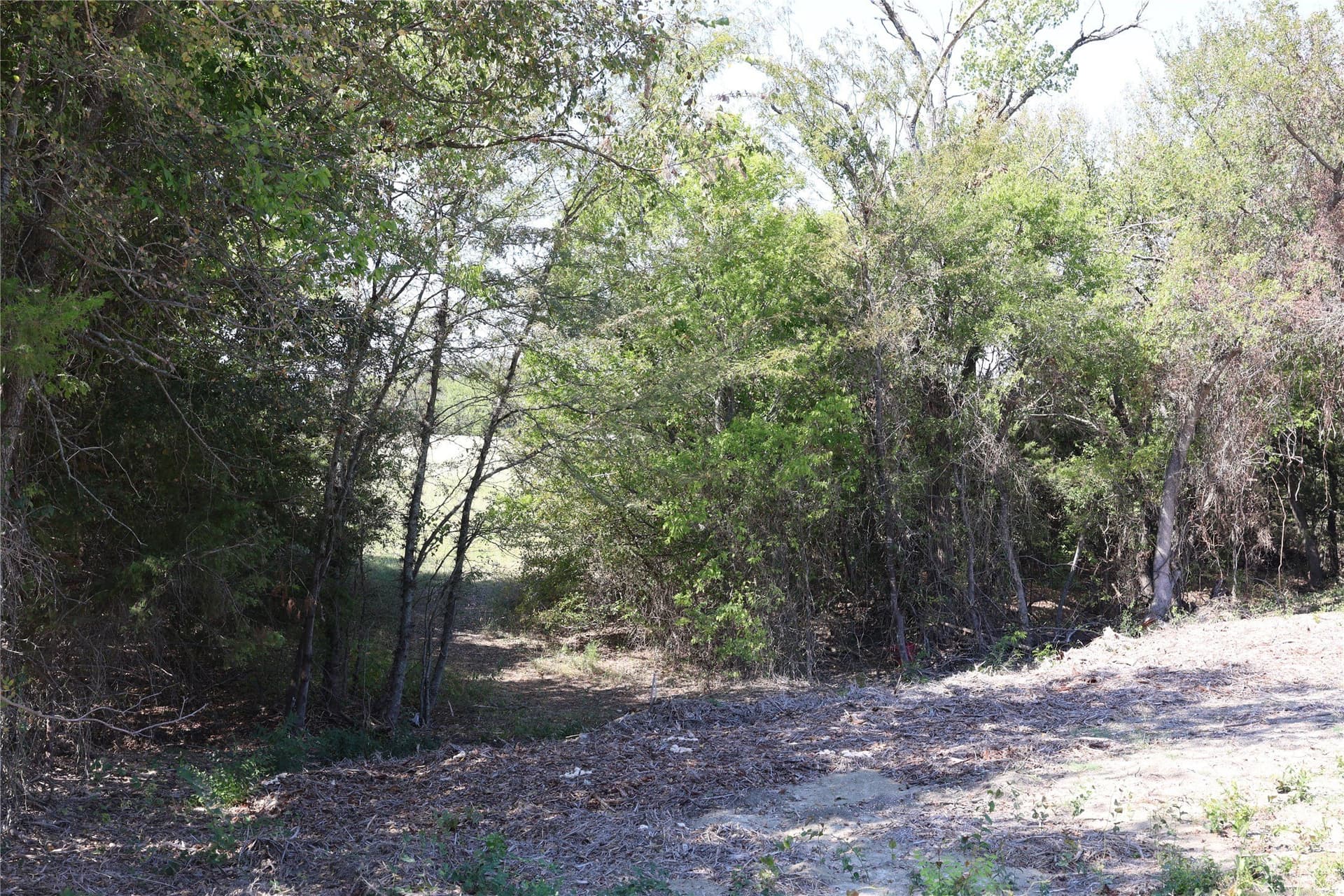 5 acres in Fannin County - photo 4