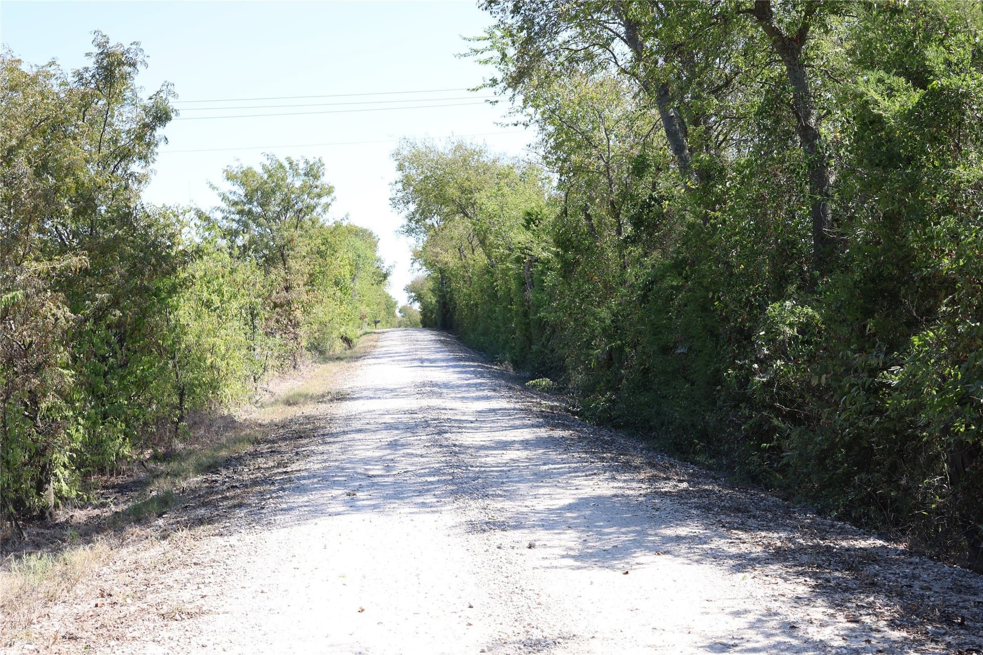 5 acres in Fannin County - photo 2