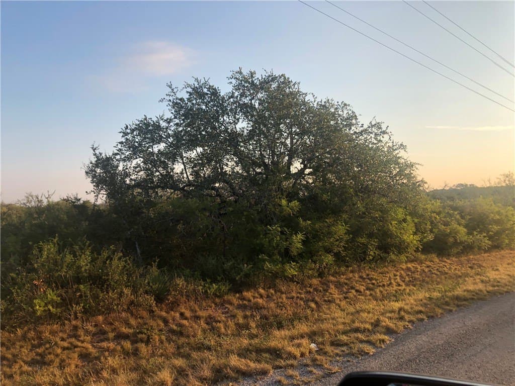 7.96 acres in Bee County - photo 5