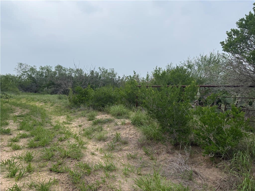 18.22 acres in Jim Wells County featured view