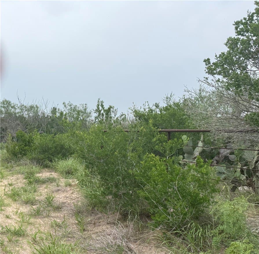 18.22 acres in Jim Wells County gallery image 4